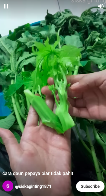 Pakai satu bahan dapur, ini trik merebus daun pepaya agar cepat empuk dan antipahit