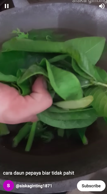 Pakai satu bahan dapur, ini trik merebus daun pepaya agar cepat empuk dan antipahit