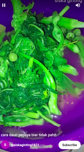 Pakai satu bahan dapur, ini trik merebus daun pepaya agar cepat empuk dan antipahit