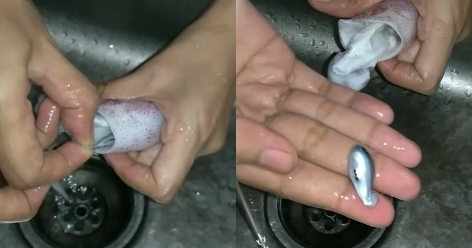 Tak perlu pakai pisau, ini cara menyiangi cumi agar putih bersih dan tintanya tak pecah