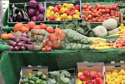 potret kocak kamuflase makanan Berbagai sumber