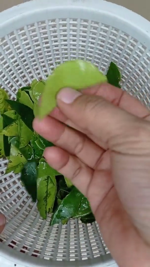 Bukan digoreng, ini cara bikin bubuk daun jeruk yang antipahit dan aromanya harum