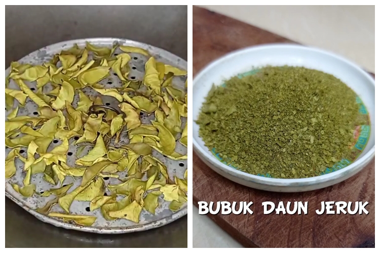 Bukan digoreng, ini cara bikin bubuk daun jeruk yang antipahit dan aromanya harum