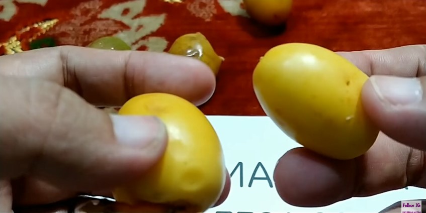 Jangan asal makan, ini trik membedakan kurma muda matang dan sudah busuk