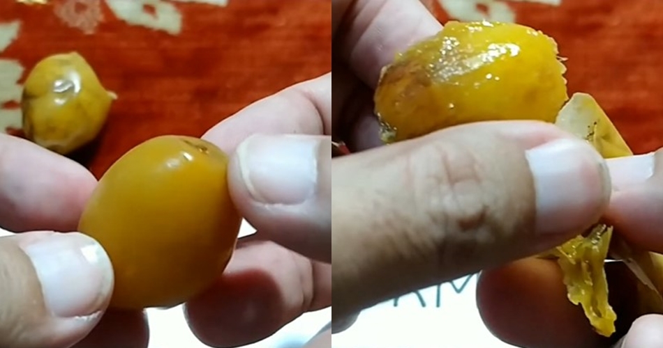 Jangan asal makan, ini trik membedakan kurma muda matang dan sudah busuk