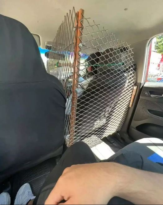 benda tak biasa di dalam mobil © Berbagai sumber benda tak biasa di dalam mobil © Berbagai sumber