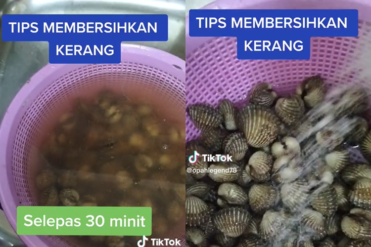 Tanpa disikat, begini cara mudah membersihkan kerang dara cuma pakai dua bahan dapur