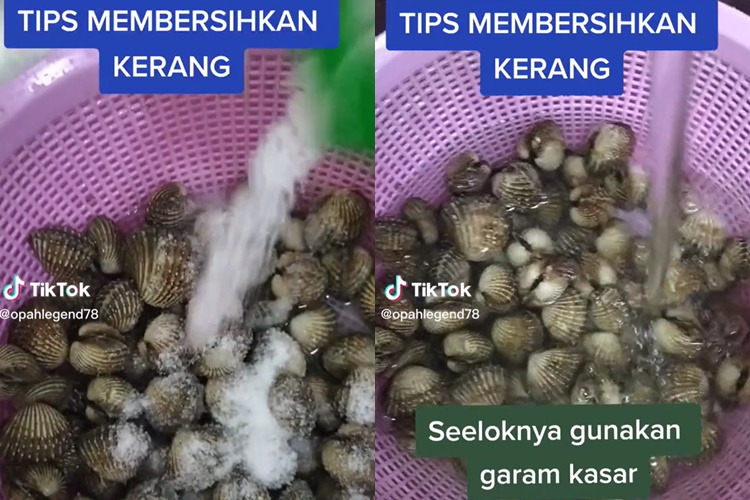 Tanpa disikat, begini cara mudah membersihkan kerang dara cuma pakai dua bahan dapur