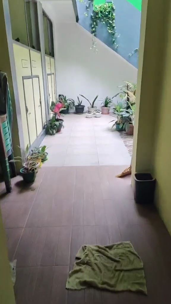 rumah aneh buka pagar langsung dapur © TikTok rumah aneh buka pagar langsung dapur © TikTok