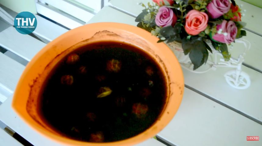 Tanpa direbus daun jambu biji, ini trik masak rendang jengkol agar empuk, bumbu meresap, dan tidak bau