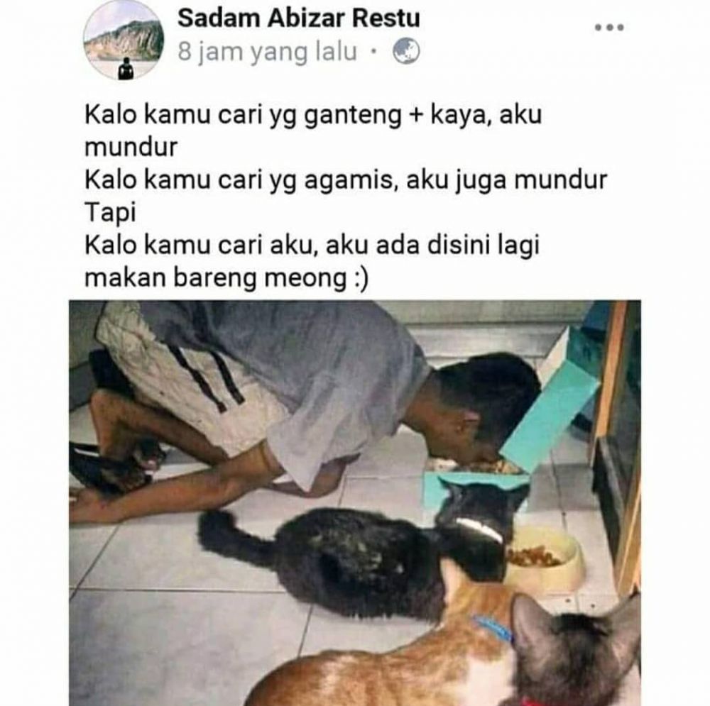 kucing makan bareng manusia © berbagai sumber kucing makan bareng manusia © berbagai sumber
