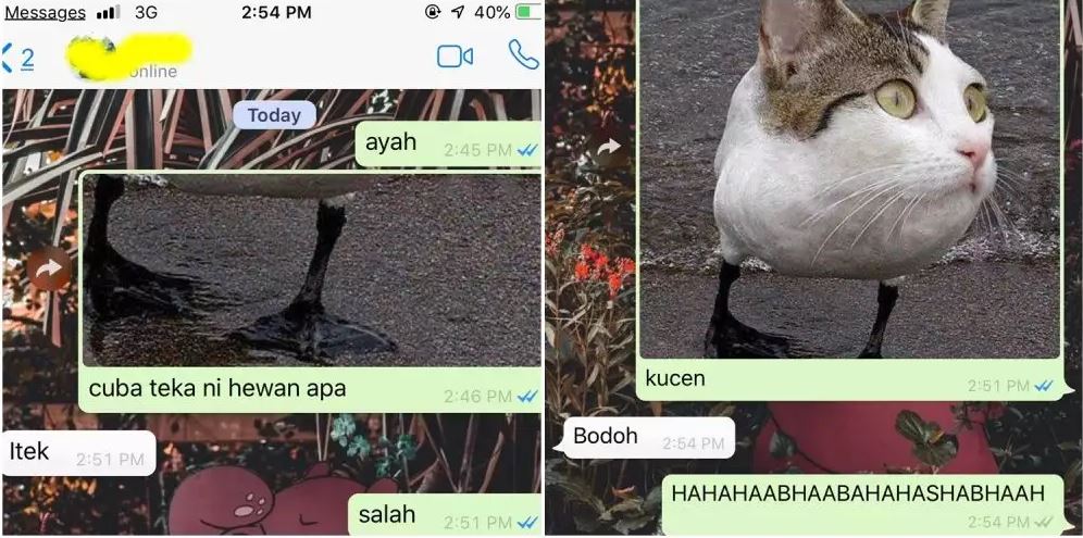 chat lucu tebak-tebakan receh Berbagai sumber