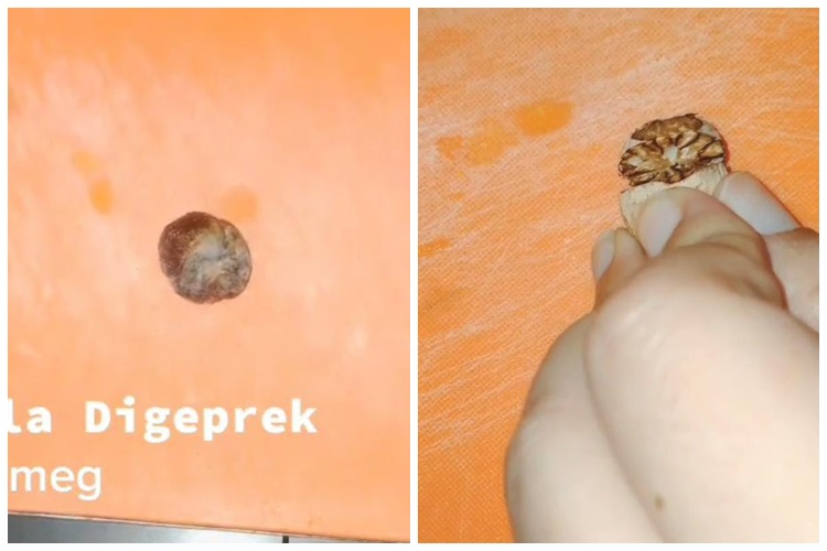 Cukup pakai satu bumbu rempah, ini cara ampuh usir semut dari gula pasir