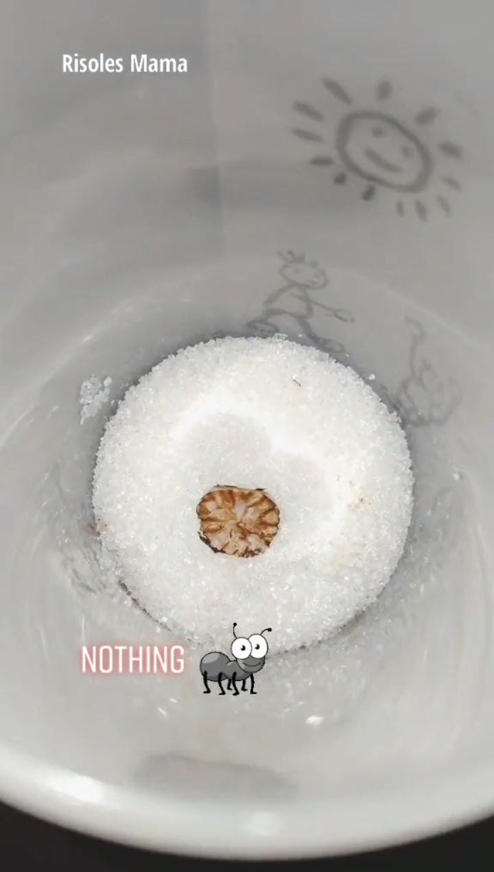 Cukup pakai satu bumbu rempah, ini cara ampuh usir semut dari gula pasir