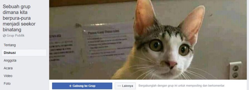 11 potret kocak grup absurd Facebook ini bikin geleng kepala © berbagai sumber