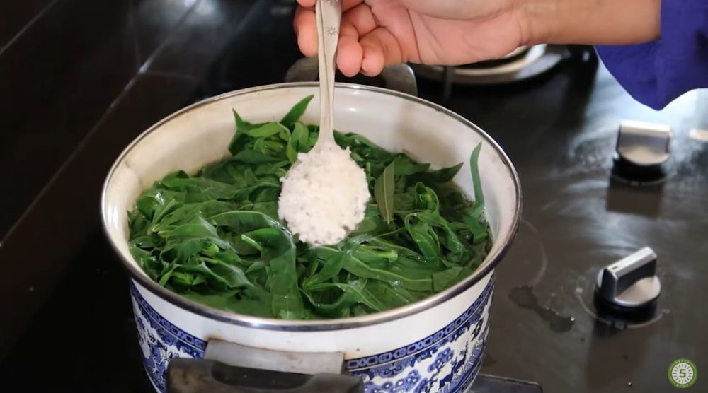 Cuma pakai satu alat dapur, ini trik merebus daun singkong agar warnanya tetap hijau