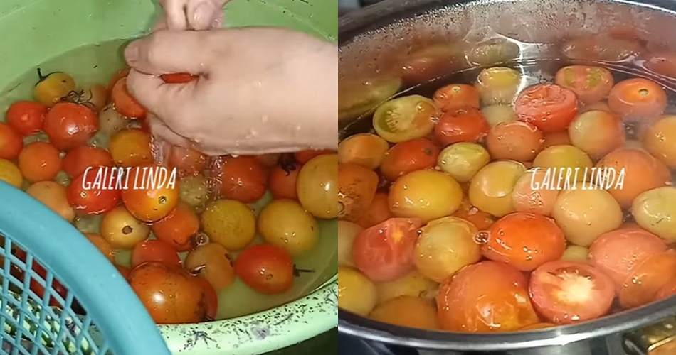 Tak perlu pakai tisu, begini cara menyimpan tomat agar awet dan bebas jamur sampai 8 bulan