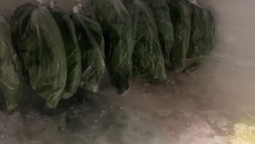 Tak perlu direbus dulu, ini trik menyimpan daun singkong agar awet dan tetap segar hingga 1 tahun