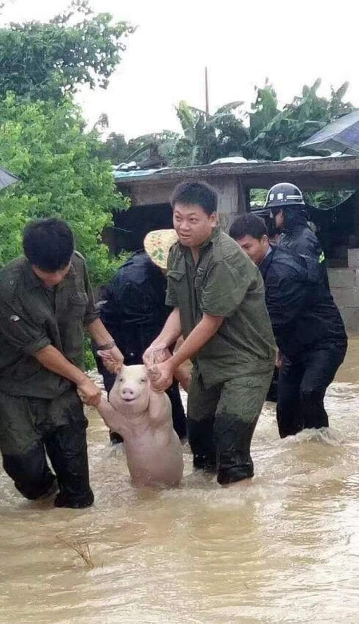 diam diam kejadian lucu © berbagai sumber