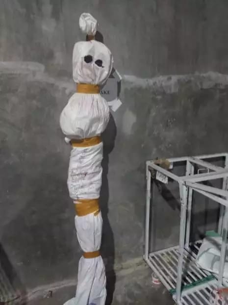 11 potret kocak bungkus paket dari olshop © berbagai sumber