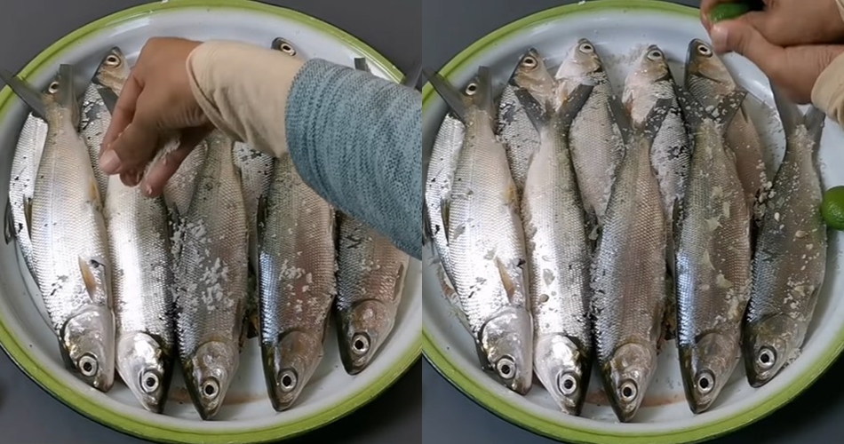 Empuk sampai ke tulang, ini cara jitu presto ikan bandeng supaya tak hancur dan lengket satu sama lain