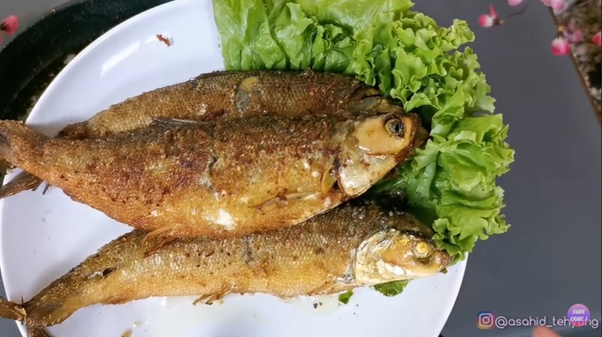 Empuk sampai ke tulang, ini cara jitu presto ikan bandeng supaya tak hancur dan lengket satu sama lain