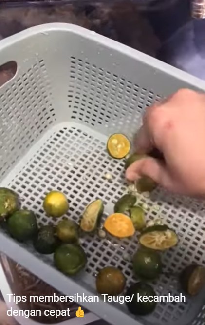 Cukup tambah satu bahan, begini trik mencuci tauge agar kotoran dan sisa kulit hijaunya mudah terpisah