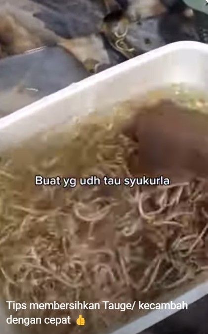 Cukup tambah satu bahan, begini trik mencuci tauge agar kotoran dan sisa kulit hijaunya mudah terpisah