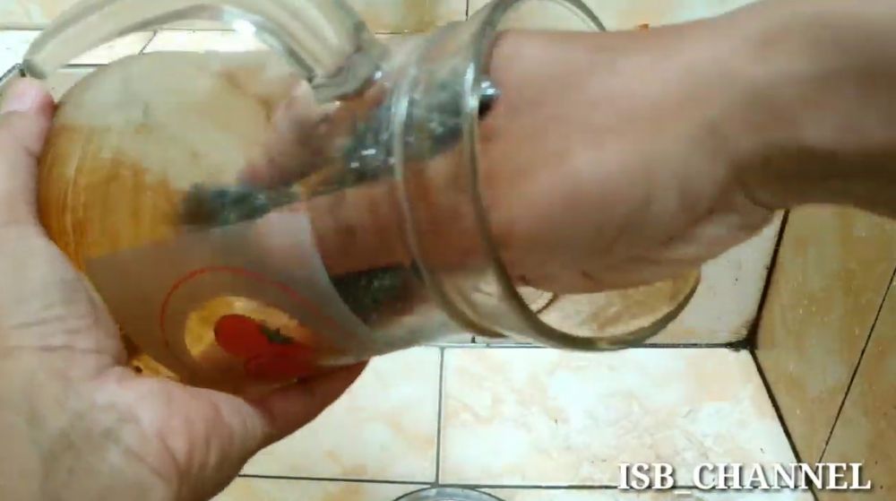 Trik membersihkan kerak teh di teko kaca, ampuh pakai satu bahan dapur