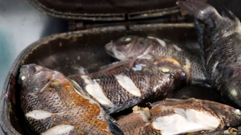 Cuma butuh 10 menit, ini cara cepat mencairkan ikan beku dari freezer