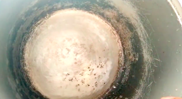 Tanpa sabun, ini trik hilangkan kerak gosong di panci rice cooker cuma pakai 1 bahan dapur