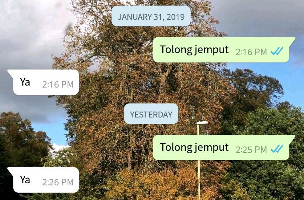 chat lucu minta dijemput ini malah bikin gagal paham © berbagai sumber