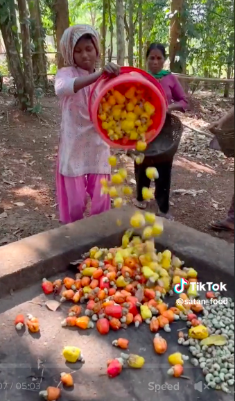 11 Potret pembuatan minuman fermentasi khas India ini jorok, cara dapat sari buahnya bikin ngelus dada