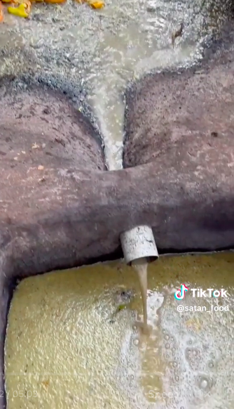 11 Potret pembuatan minuman fermentasi khas India ini jorok, cara dapat sari buahnya bikin ngelus dada