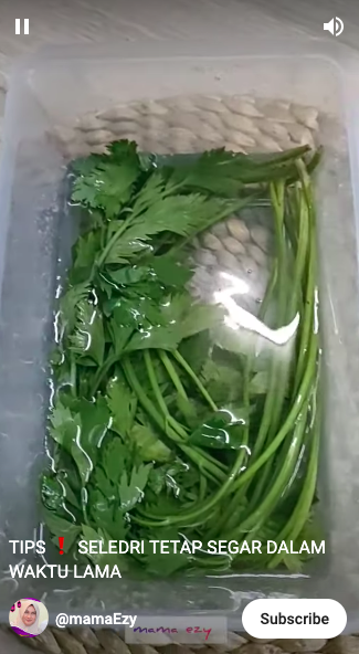 Tanpa perlu diiris-iris, ini cara mudah simpan seledri agar tetap segar dan tidak layu hingga 2 minggu