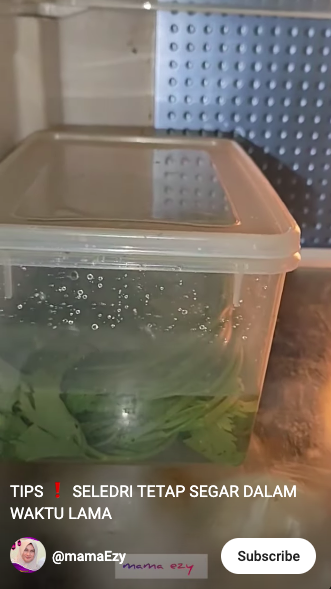 Tanpa perlu diiris-iris, ini cara mudah simpan seledri agar tetap segar dan tidak layu hingga 2 minggu