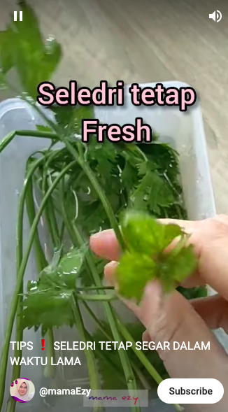 Tanpa perlu diiris-iris, ini cara mudah simpan seledri agar tetap segar dan tidak layu hingga 2 minggu