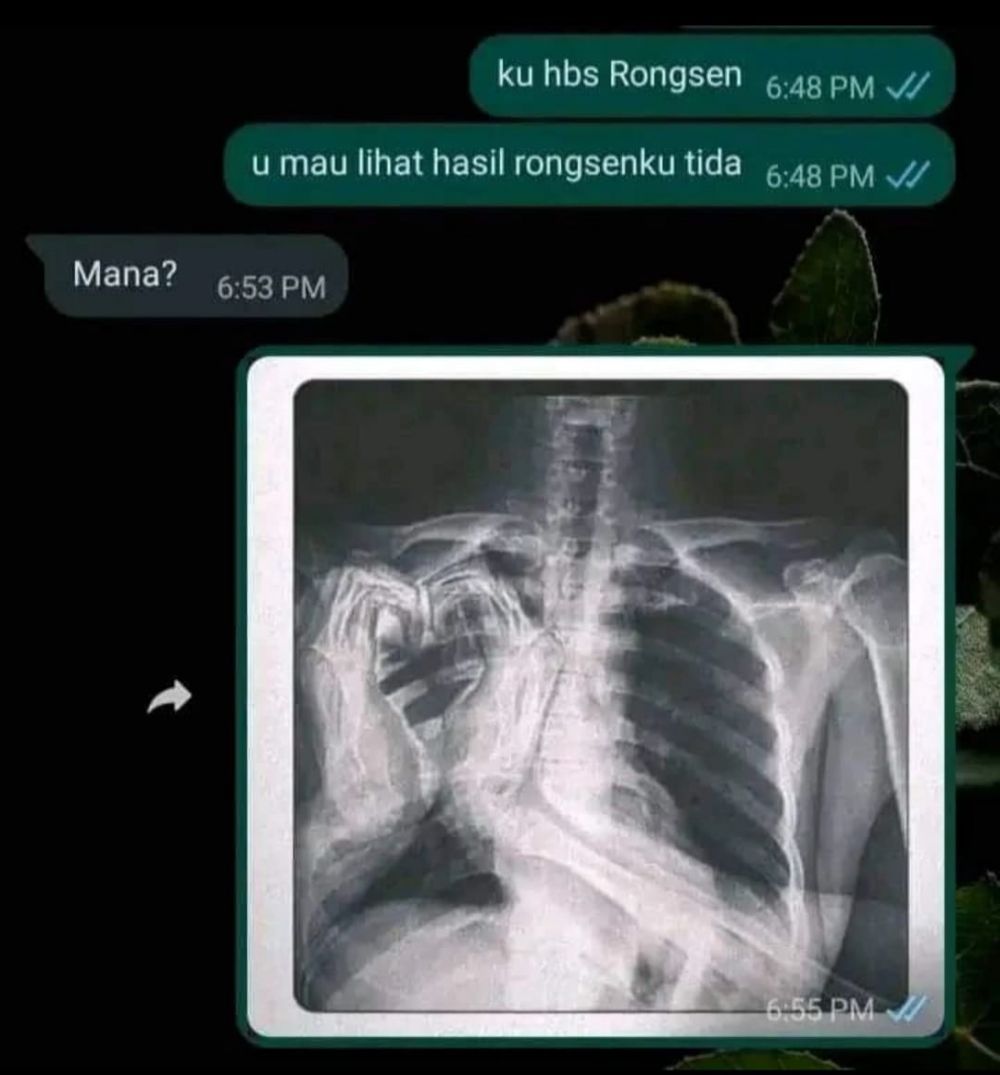 11 Chat lucu ini isinya tak terduga © berbagai sumber 11 Chat lucu ini isinya tak terduga © berbagai sumber