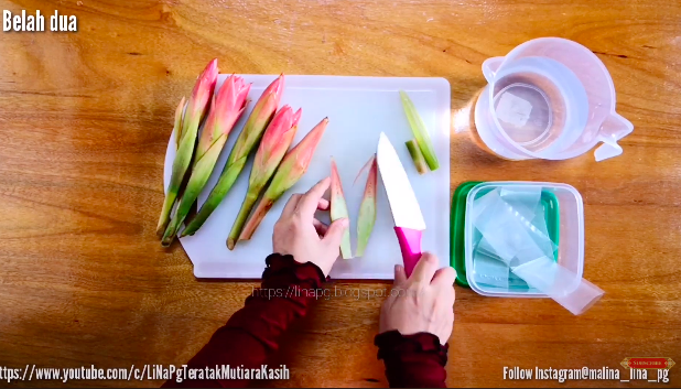 Pakai 1 bahan dapur, ini trik simpan bunga kecombrang agar tetap segar, tak menghitam, dan tahan lama