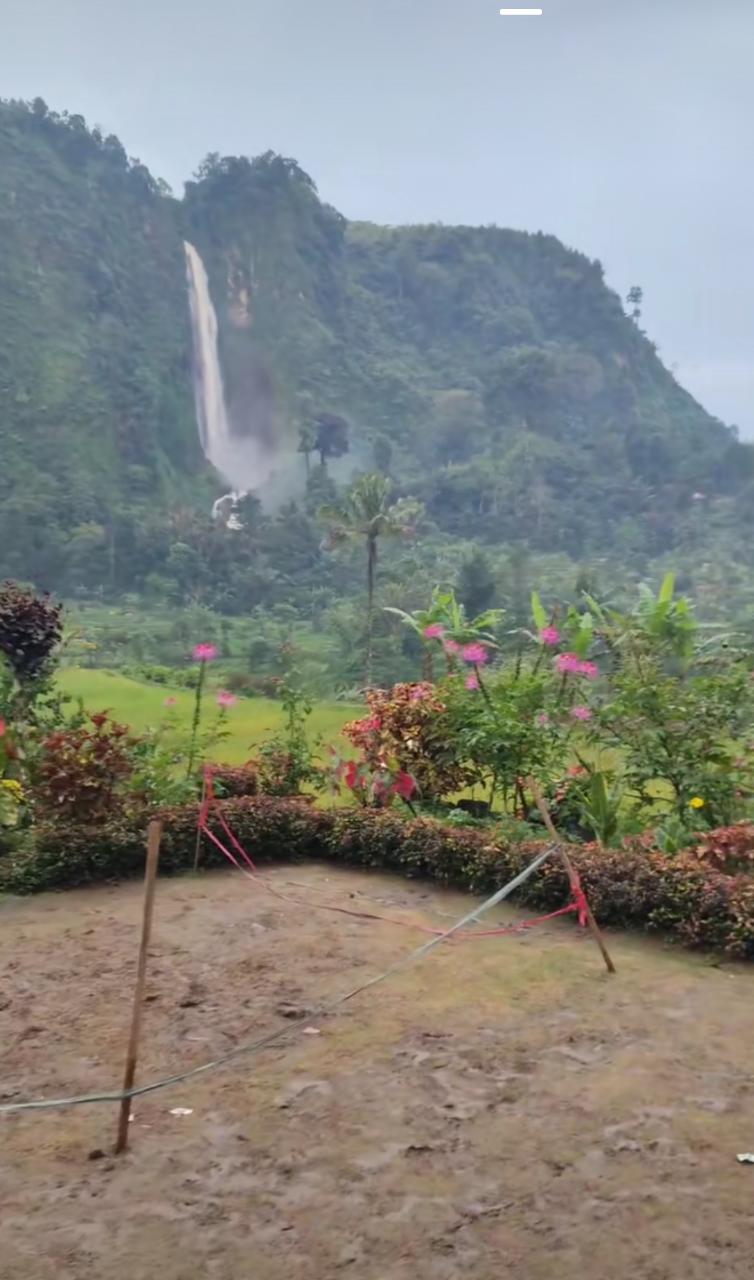 7 Potret miris rumah Abah Jajang yang pernah ditawar Rp 2,5 M usai viral, banyak tanaman yang hancur