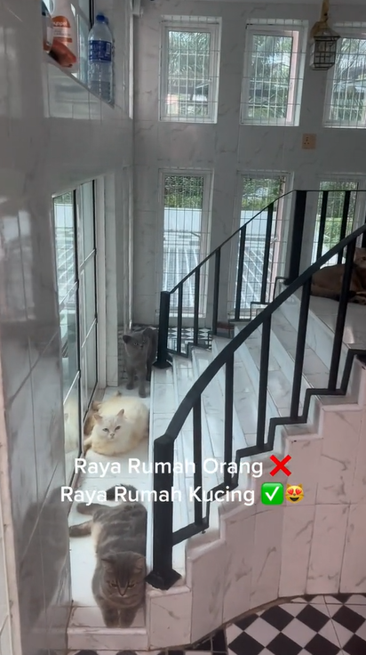 Kandang kucing ini bentuknya bak rumah gedongan © 2023 brilio.net Kandang kucing ini bentuknya bak rumah gedongan © 2023 brilio.net