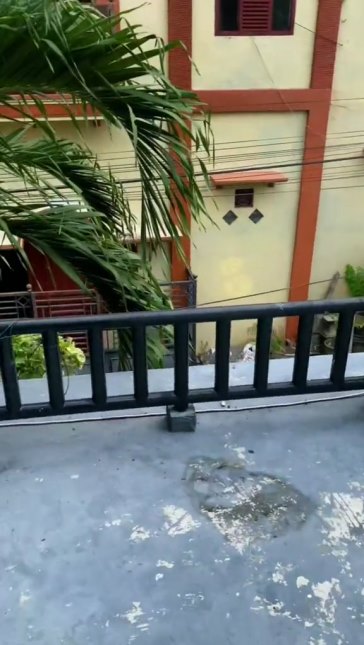 potret rumah aneh © TikTok potret rumah aneh © TikTok