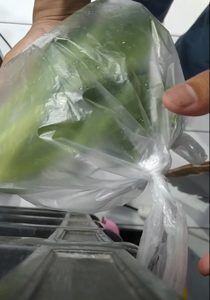 Tanpa kulkas, begini cara menyimpan pokcoy agar tetap segar dan hijau sampai 4 hari