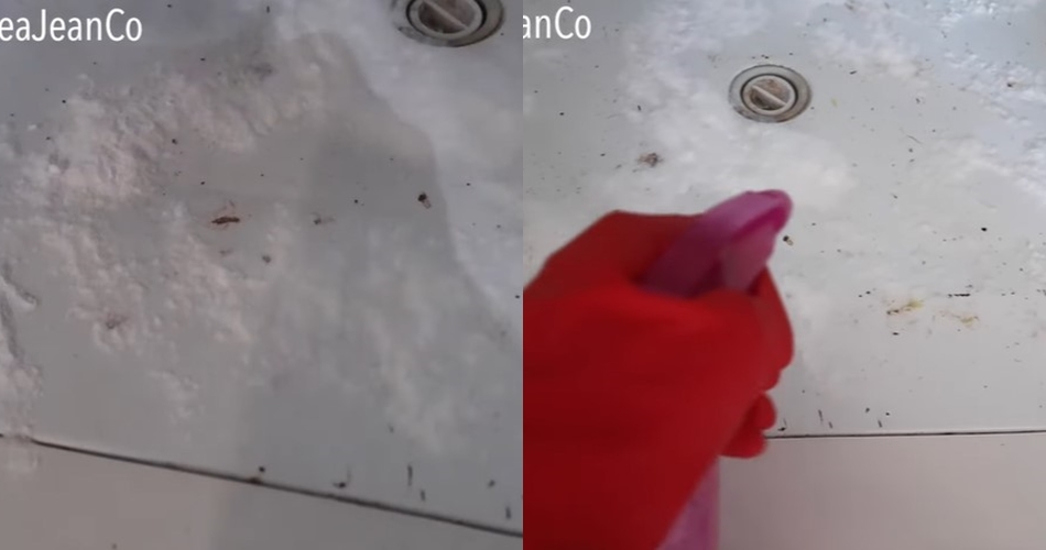 Cuma pakai 2 bahan dapur, ini cara praktis bersihkan noda karat di kulkas