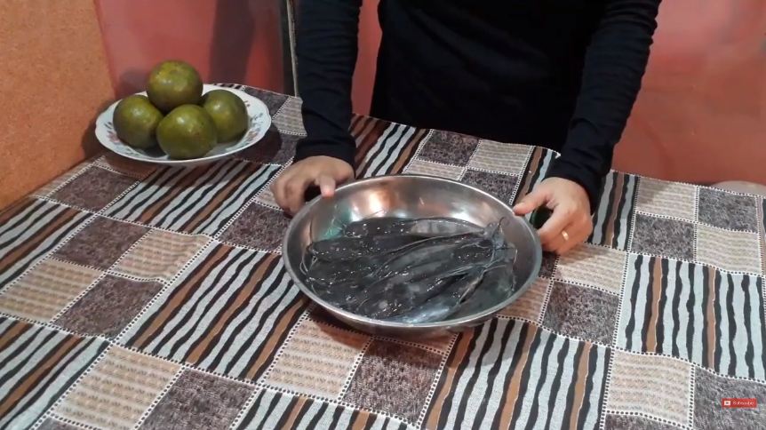 Pakai 4 bahan dapur, ini trik bikin lele goreng agar makin gurih dan tidak amis