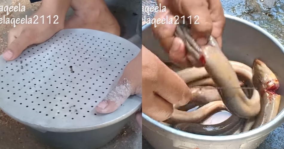 Jangan hanya dicuci dan dimarinasi, begini cara hilangkan amis dari ikan belut