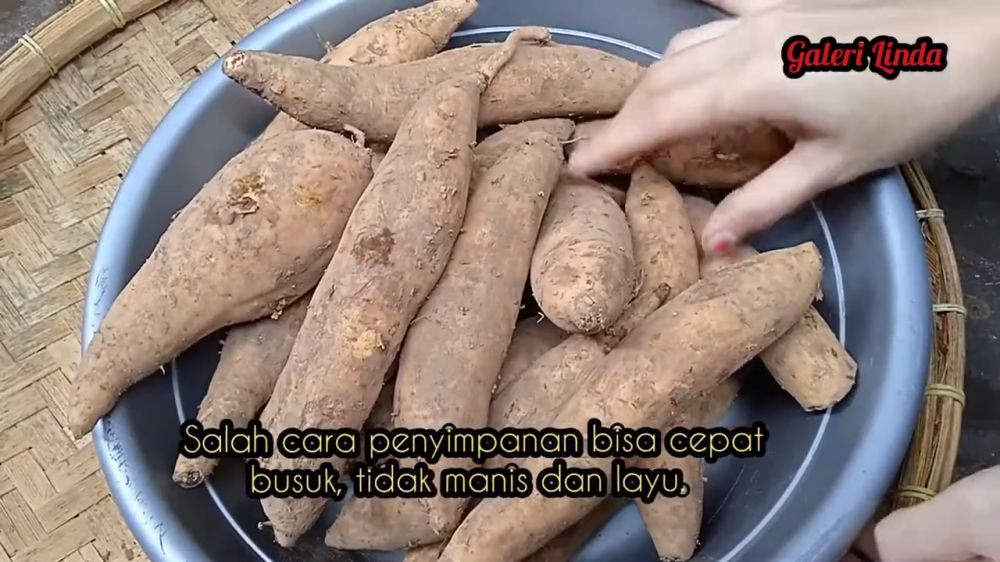 Tanpa tambahan bahan dapur, ini cara menyimpan ubi jalar agar tidak bertunas dan awet hingga 6 bulan