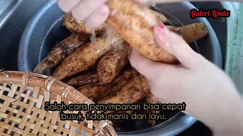 Tanpa tambahan bahan dapur, ini cara menyimpan ubi jalar agar tidak bertunas dan awet hingga 6 bulan