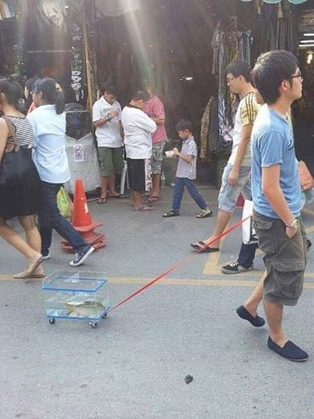 11 Potret kocak orang jalan-jalan sama hewan © berbagai sumber 11 Potret kocak orang jalan-jalan sama hewan © berbagai sumber