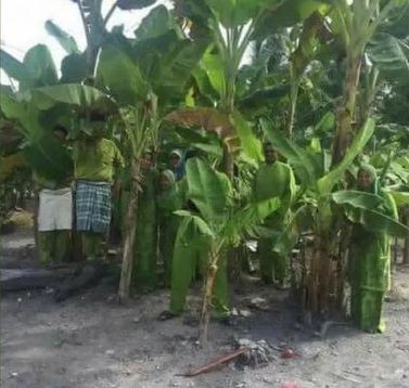 potret kocak outfit warga +62 Berbagai sumber